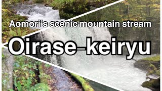 Aomori`s scenic mountain stream Oirase-keiryu