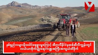 ရေရှားပါးပြတ်လပ်မှုဆိုးရွားနေပြီး ဒေသတွင်း စိုက်ပျိုးရေးနဲ့မွေးမြူရေးလုပ်ငန်းများ ထိခိုက်