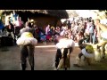 Xigubu xaka Bvuma Bungeni