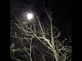 I was only temporary super mega slowed