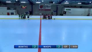 MANTAS vs WASPS - FINALS WEEKEND - Hamilton 16/02/2025