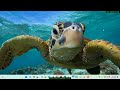 Python Tutorial 6:-Importing a csv file.