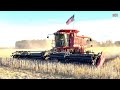 CASE IH 2388 Axial-Flow Combine Harvesting Soybeans