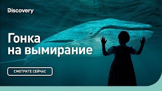 Гонка на вымирание | Премьера | Discovery