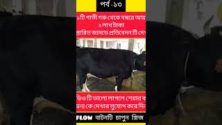 ১টি গাভী গরু থেকে বছরে ২ লক্ষ টাকা লাভ।#cow#cows#cowfarm #dairy #dairyfarm #গরু #গরুর #গরুরখামার