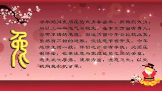 《2012龙年12生肖运程－兔》