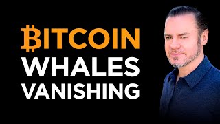 🚨 BTC WEALTH SHIFT: Whales Vanish + Dolphins Take Over! You in the Top 5%? 🐋➡️🐬📊