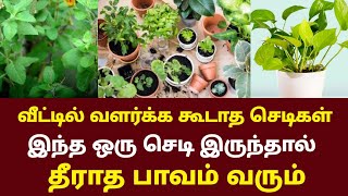 பணத்தை அழிக்கும் 5 செடிகள் ! உடனே பிடுங்கி எறியுங்கள் ! பணத்தை ஈர்க்கும் 7 செடிகள் !