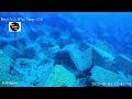 8【釣り】 【宮城】 25 2 1 出島寺間港 出島 underwaterdrone 黄金アイナメ 水中映像 水中ドローン ＃寺間港 女川町 fifish qysea