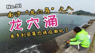 这才是钓海鲈的黄金标点，公交可达，路亚、矶钓、手竿钓海鱼皆可