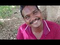 முழு காடை ரோஸ்ட் 😍 village style cooking quail 65😋 full kaadai chili making video