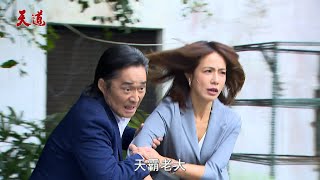 天道│EP247預告 子茜揭開真相朝遠捨身救長勝雪卿 仙梅醒了淚訴：開陽是惡魔！ Fight For Justice│ Vidol.tv