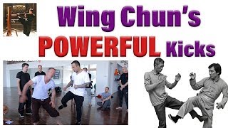 POWER of WING CHUN kicks!!