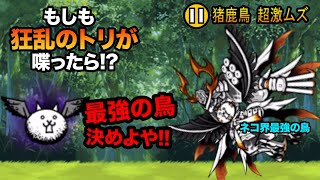 もしが狂乱のトリが、真田幸村に喋りかけたら...　にゃんこ大戦争