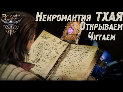 Вaldur's gate 3 - Читаем книгу некромантии Тхая