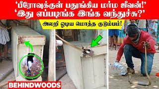 'இது எப்படிங்க இங்க வந்துச்சு😨?'...'பீரோவுக்குள் பதுங்கிய மர்ம ஜீவன்!'.. அலறி ஓடிய மொத்த குடும்பம்!