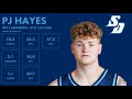 PJ Hayes - San Diego - 2023-24 Transfer Portal Highlights