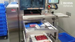 WM-Ai Automatic Wrapper with Infeed Conveyor - RDS