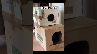 ずぼら飼主が猫部屋おしゃれリメイクしてみた〜ナノちゃん監視中〜