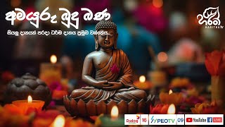 අමයුරු බුදු බණ | Amayuru Budhu Bana | Ven. Neluwakande Gnanananda Thero | Haritha TV