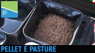 Preparazione delle Pellet e delle Pasture Sonubait