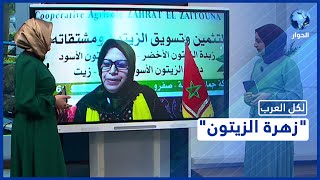 مبادرة لدعم قرويات مغربيات يتفنن في تثمين الزيتون ومشتقاته