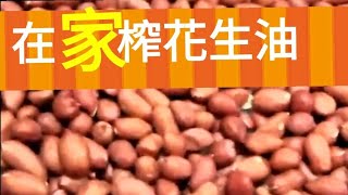 榨油機~在家榨【 花生油】