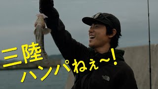 主演・菅田将暉、奇跡の移住エンターテインメント！映画『サンセット・サンライズ』特別映像＜キャラクター編＞