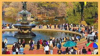 CENTRAL PARK - NEW YORK - NOVEMBER 2024 - Walking Tour