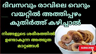 ദിവസവും രാവിലെ വെറും വയറ്റിൽ അത്തിപ്പഴം കുതിർത്തു കഴിച്ചാൽ