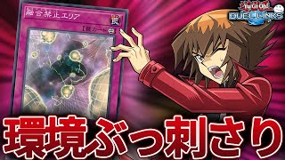 融合召喚をするテーマが多い世の中ですよね【遊戯王デュエルリンクス/YuGiOhDuelLinks】