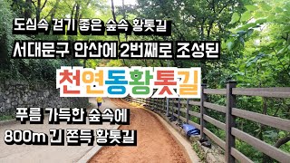 도심속 맨발걷기 좋은 황톳길, 서대문구 안산에 2번째로 조성된 천연동황톳길, 푸르름 가득한 숲속에 800m 긴 황톳길