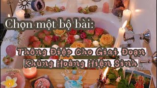 Chọn một bộ bài: Thông điệp cho giai đoạn khủng hoảng hiện nay/ mất phương hướng