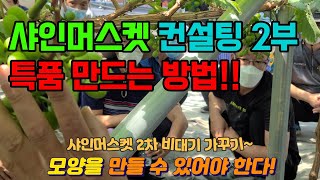 샤인머스켓 알솎기 특품 만드는 방법 2부! 포도 놀라운 기술!