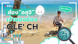 ส่องน้ำอสุจิของเจ้าของช่อง OLE' CH | ช่องโอเล่