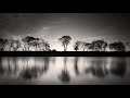 Dub Techno Sessions Episode 055