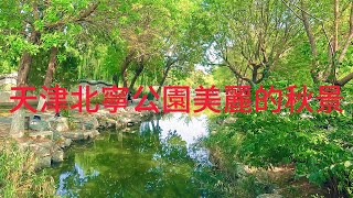 天津北寧公園美麗的秋景   Beautiful autumn scenery of Tianjin Beining Park