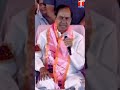 రేవంత్ ప్రభుత్వం ఏడాది కూడా ఉండేటట్లు లేదు kcr tnews telangana revanthreddy telugu