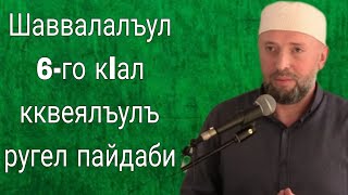 21.04.2023. / Шаввалалъул 6-го к1ал кквеялъулъ ругел пайдаби