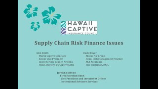 Supply Chain Risk Finance Issues
