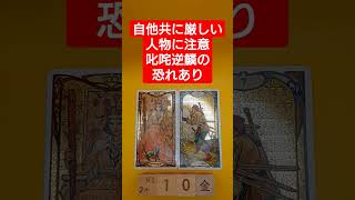 おみくじ的タロット占い「自分にも他人にも厳しい人物に注意喚起」