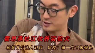 霍思燕杜江收养实验犬，视频背后让人泪目，网友：第一次了解他们