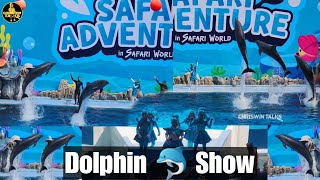 Jumping and playing dolphin Pillar| Dolphin show Safari world| Pattaya Thailand Trip #dolph#pattaya