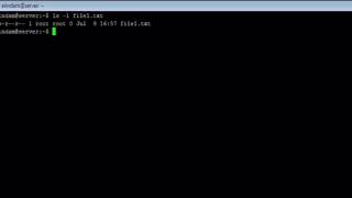 Linux - ls Command - w3resource