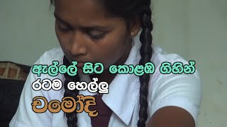 රටම හොල්මන් කළ ගම්බද දැරියගේ දසැගිලි