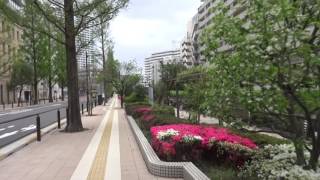 JR東日本｢駅からハイキング｣　田町駅　2016/04/17