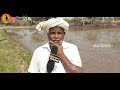 ulli sagu ulli pempakam onion farming in telugu agriculture onion cultivation mana kisan tv