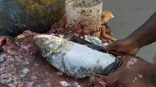 Amazing Quick 2kg katla fish cutting skill| big fish cutting