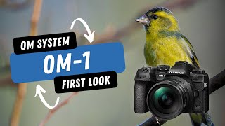 OM System OM-1 | A lightweight flagship camera perfect for wildlife stills & video