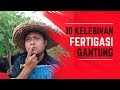 10 KEBAIKAN FERTIGASI GANTUNG yang tak ramai orang tahu!!!!